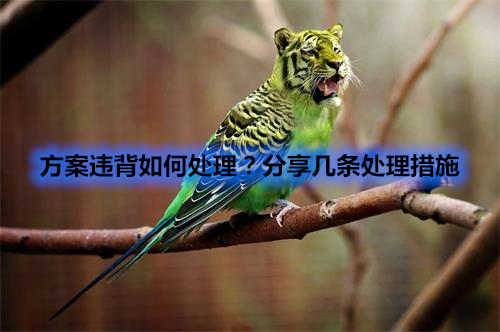 方案違背如何處理？分享幾條處理措施(圖1)