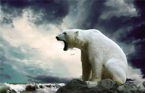 第二類醫(yī)療器械生產(chǎn)許可證很難申請嗎？(圖1)