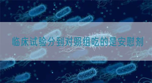 臨床試驗(yàn)分到對(duì)照組吃的是安慰劑(圖1)