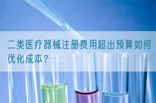 二類醫(yī)療器械注冊(cè)費(fèi)用超出預(yù)算如何優(yōu)化成本？(圖1)