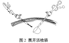一次性使用內(nèi)窺鏡用活檢袋注冊(cè)審查指導(dǎo)原則（2025年第20號(hào)）(圖2)