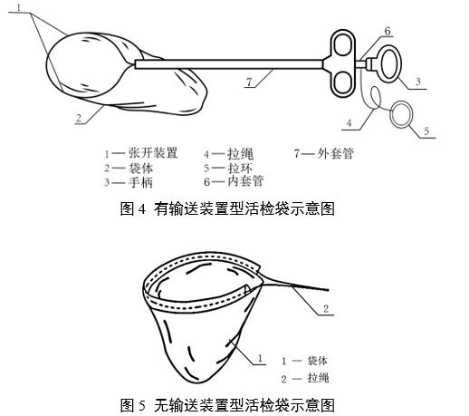 一次性使用內(nèi)窺鏡用活檢袋注冊(cè)審查指導(dǎo)原則（2025年第20號(hào)）(圖4)