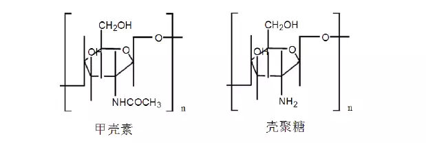 可吸收高分子材料介紹及其在植入醫(yī)療器械中的應用(圖2)