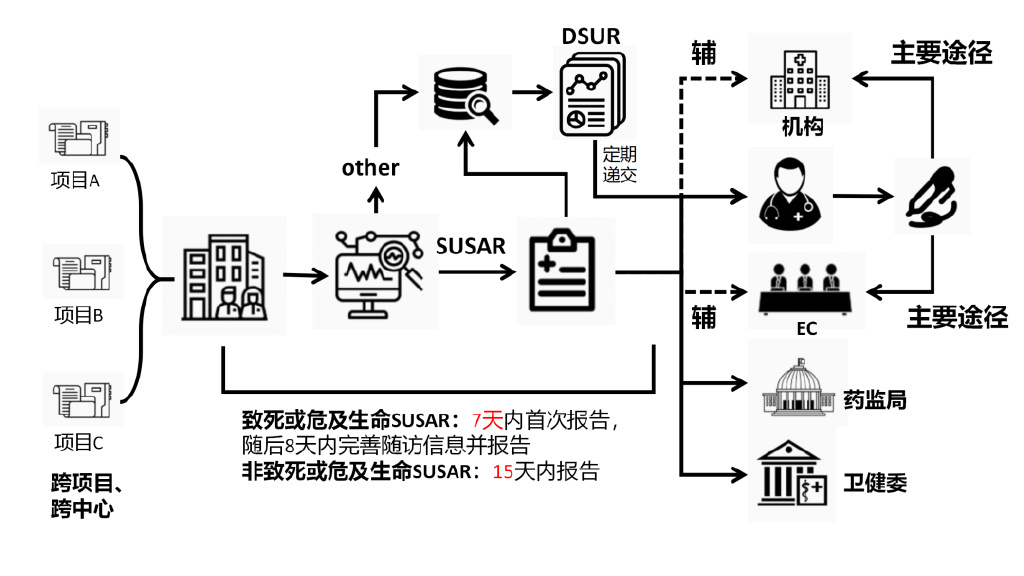 臨床試驗安全性事件如何上報？臨床試驗不良事件上報流程圖(圖3)